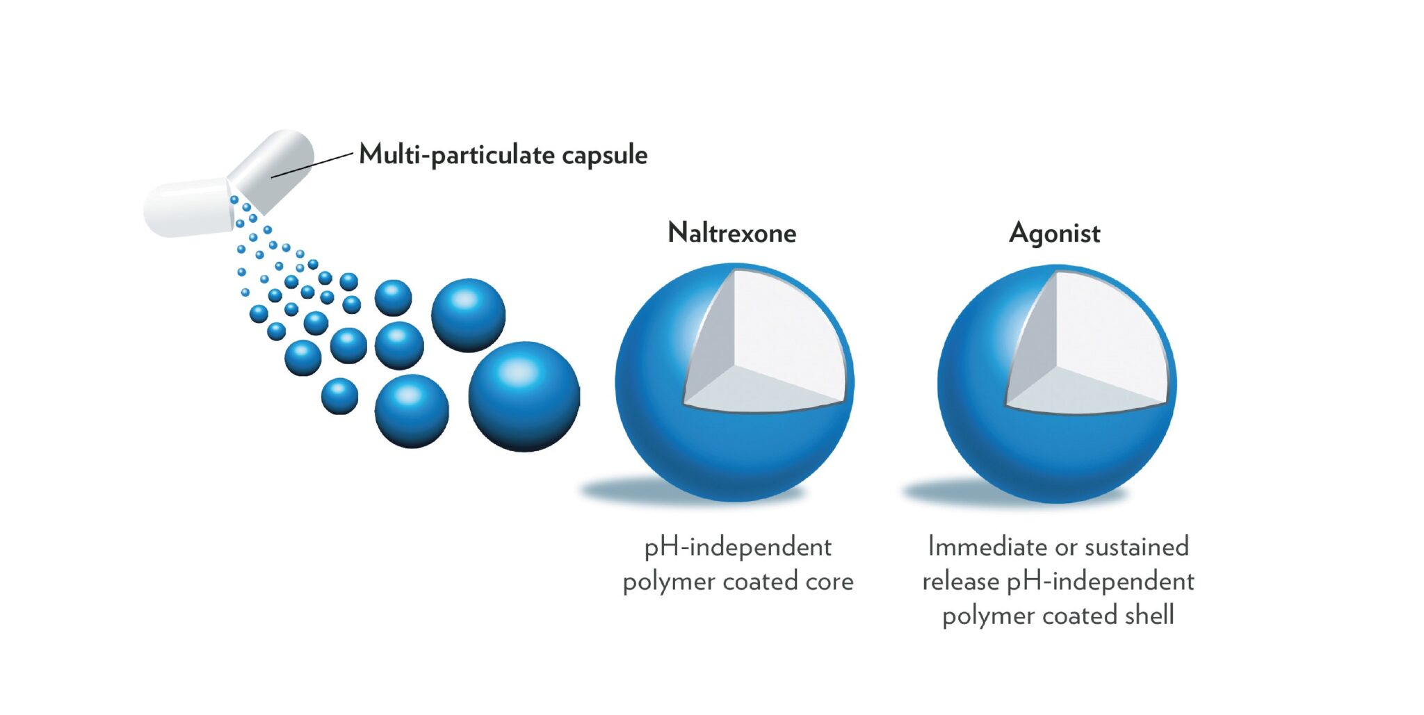 Bead System Two Bead System -Elite Pharmaceuticals Inc.